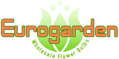 Eurogarden — Wholesale Flower Bulbs
